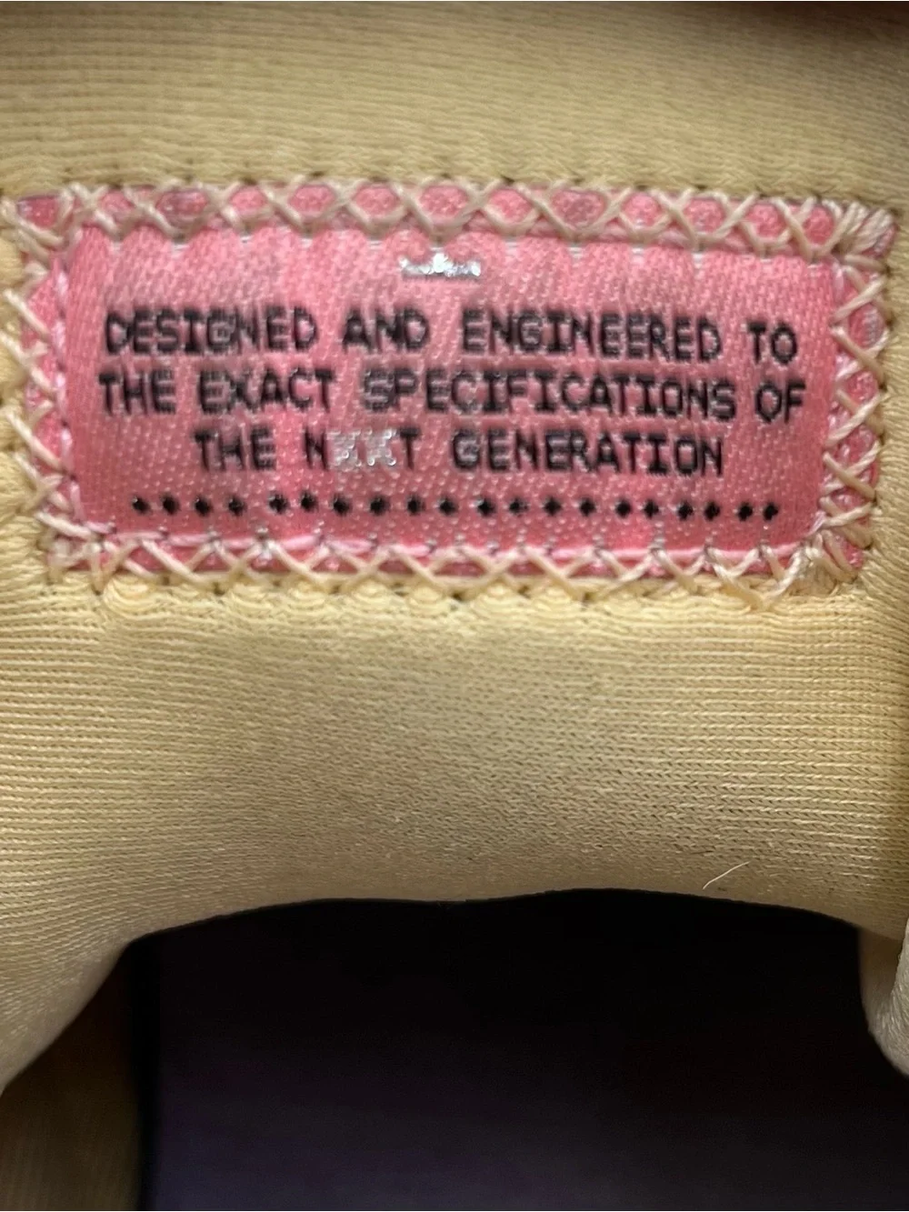 Nike Lebron authentic nike